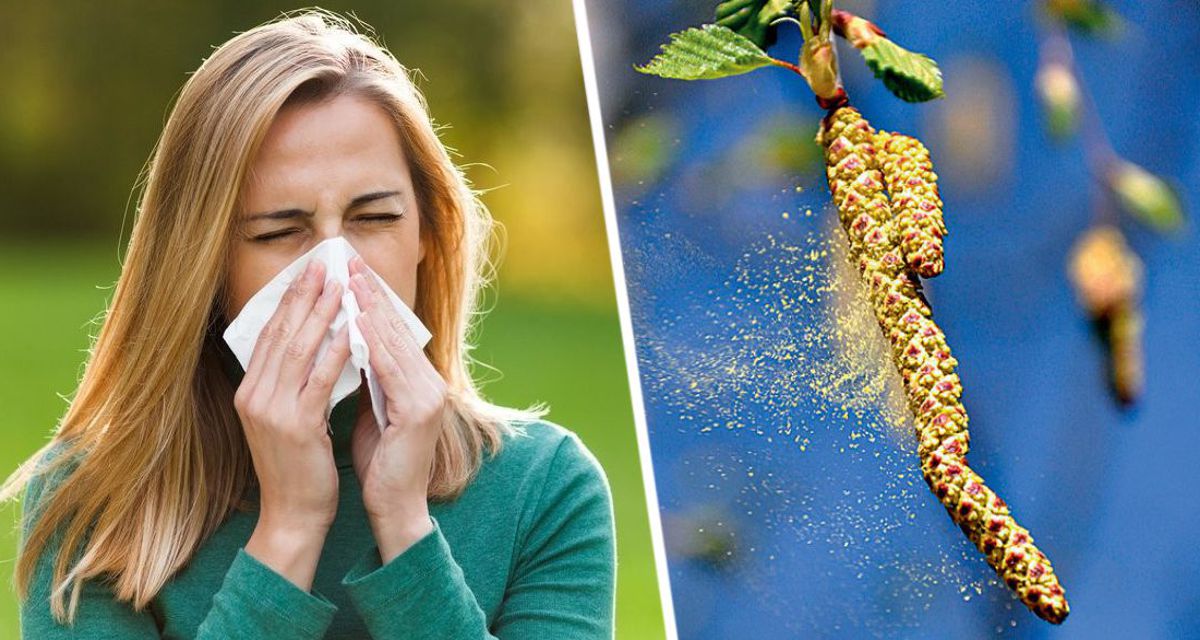 Врач предупредил о симптомах сенной лихорадки у аллергиков в период весеннего цветения