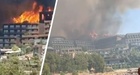 Лесные пожары охватили Турцию: власти борются с огнем, отели и туристы боятся