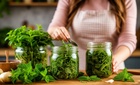 Маринованная крапива: необычный рецепт полезной заготовки на зиму