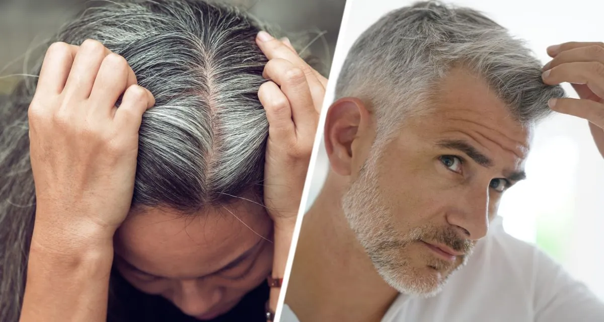 Седина как зеркало здоровья: Японские ученые раскрыли связь между старением волос и защитой от рака