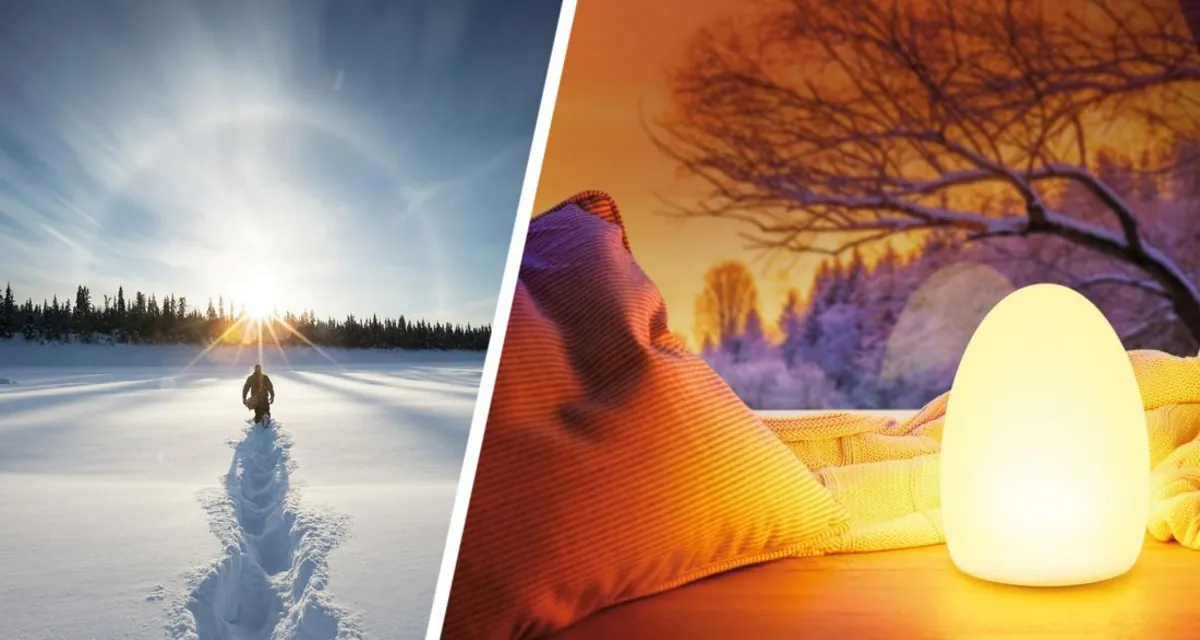 Свет во тьме не товарищ: кардиологи бьют тревогу из-за опасности ночного освещения