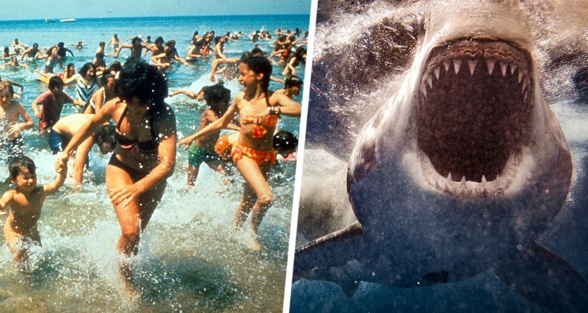 На курорте туристов атаковали пираньи: как обезопасить себя на отдыхе?