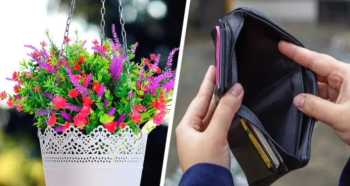 Зеленый парадокс: Ученые выяснили, сколько растений в доме приносят счастье, а сколько - вред