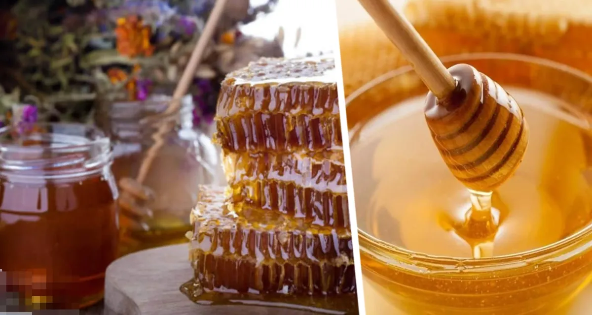 Сладкий обман: Раскрываем тайну настоящего мёда – домашний тест, под силу каждому