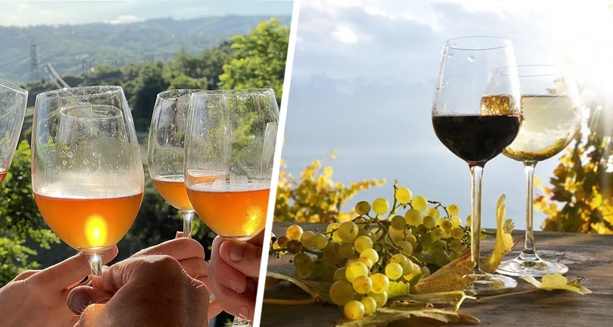 Винные тропы Армении зовут туристов