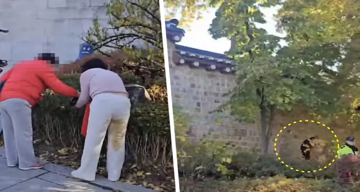 Сеул не туалет: Китайского туриста наказали за отправление нужды во дворце