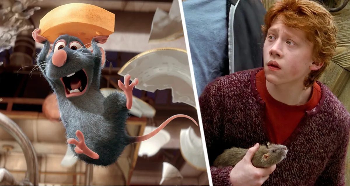 Фундаментный «душ» против мышиной наглости: как одной хитростью я защитила свой дом