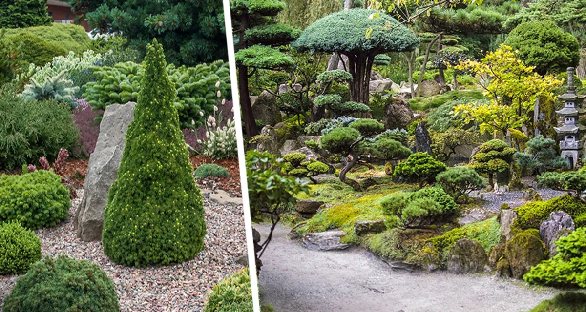 Эхо предков: жестяные банки - забытый голос природы, предсказывающий погоду точнее прогнозов синоптиков