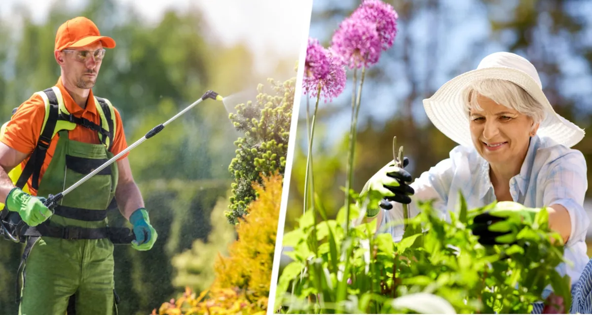 «Раундап»: 25 лет лжи раскрыты - стало известно, как дачников обманывали четверть века