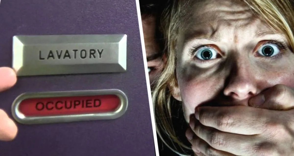 Микробный авиарейс: Стюардесса раскрывает грязные секреты самолетов