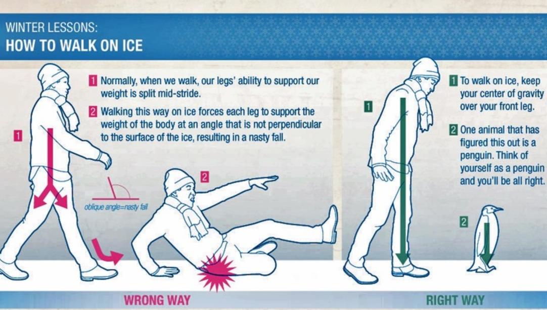 Ходи как пингвин: врачи дали советы, как передвигаться по улице во время зимней гололедицы