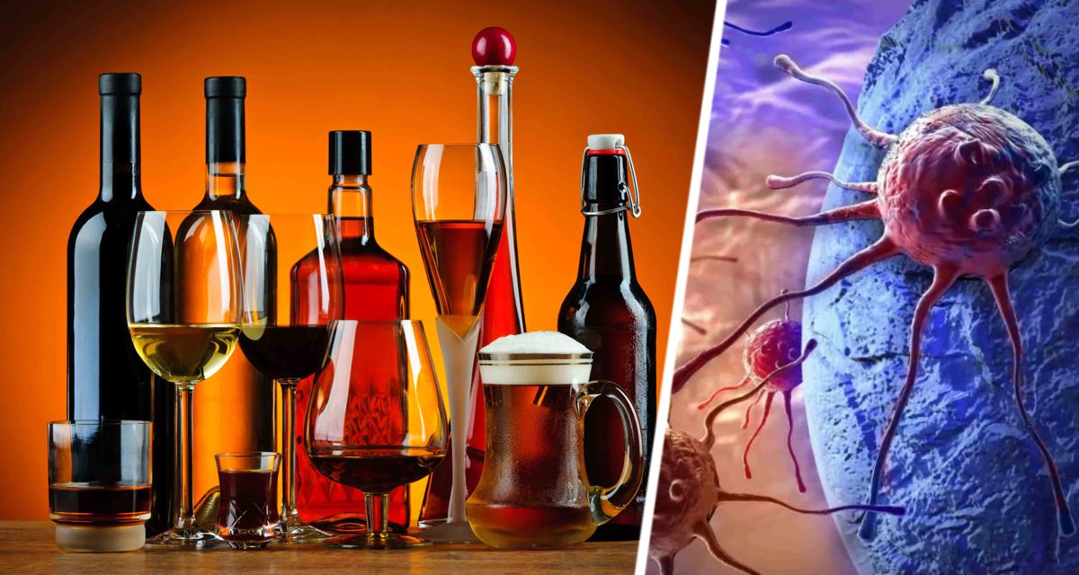 Установлено, что алкоголь увеличивает риск 11 видов рака