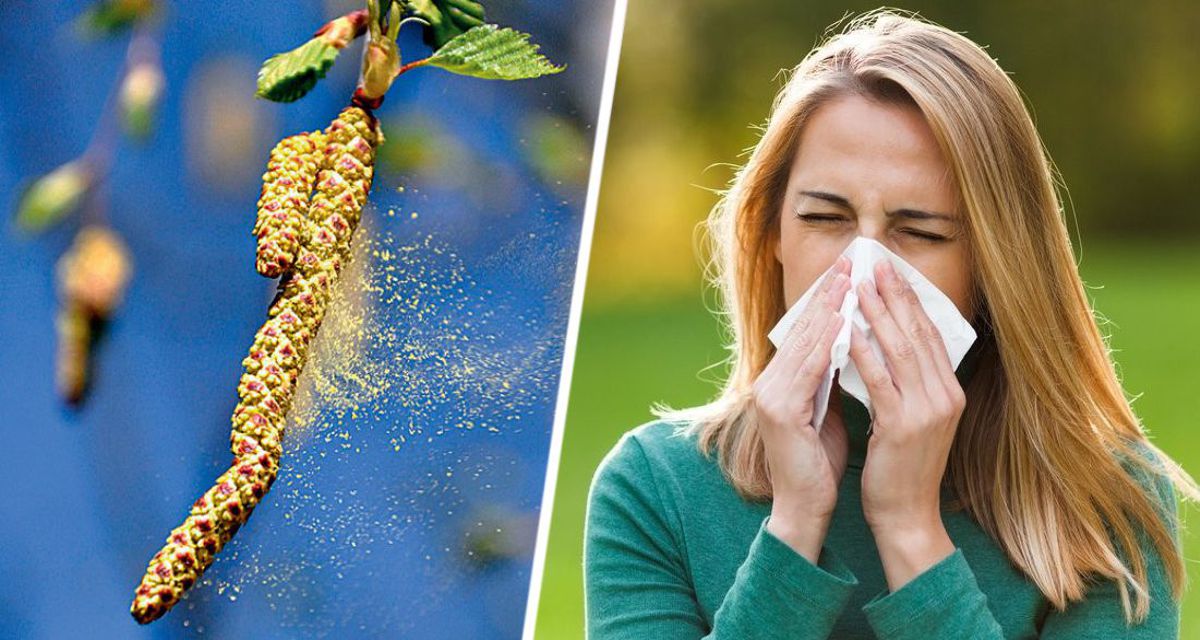 Фармацевт назвал 5 необычных симптомов сенной лихорадки, которые принимают за Covid или простуду