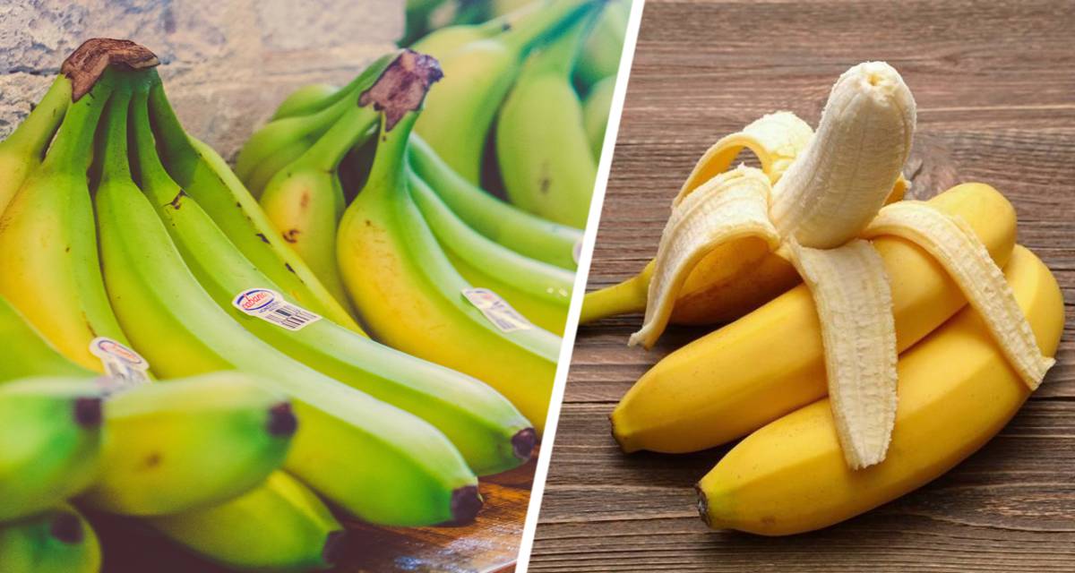 Ученые установили, что употребление бананов определенного цвета может предотвратить рак