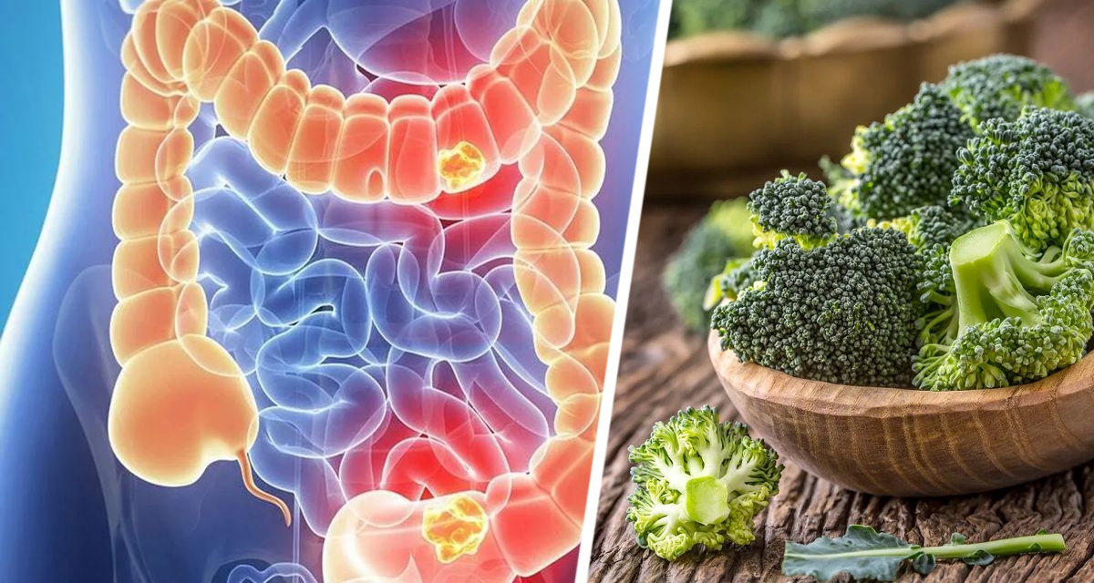 Раскрыт супер-овощ, предотвращающий рак, воспаление кишечника и ожирение