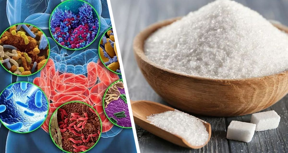 Установлено, что патогенные бактерии используют сахар в слое кишечной слизи для заражения кишечника