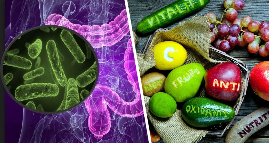 Кишечные бактерии помогают высвобождать важные антиоксиданты, переваривая пищевые волокна