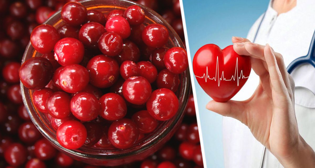 Ученые установили уникальное воздействие 100 граммов клюквы в день на сердце