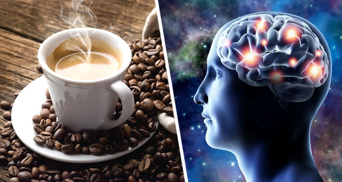 Регулярное потребление кофе уменьшает объем серого вещества мозга