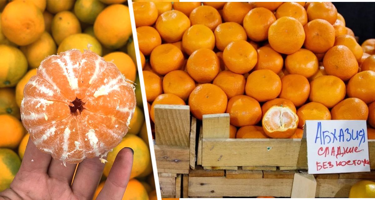Россиянам рассказали, сколько мандаринов в день можно съедать без вреда здоровью
