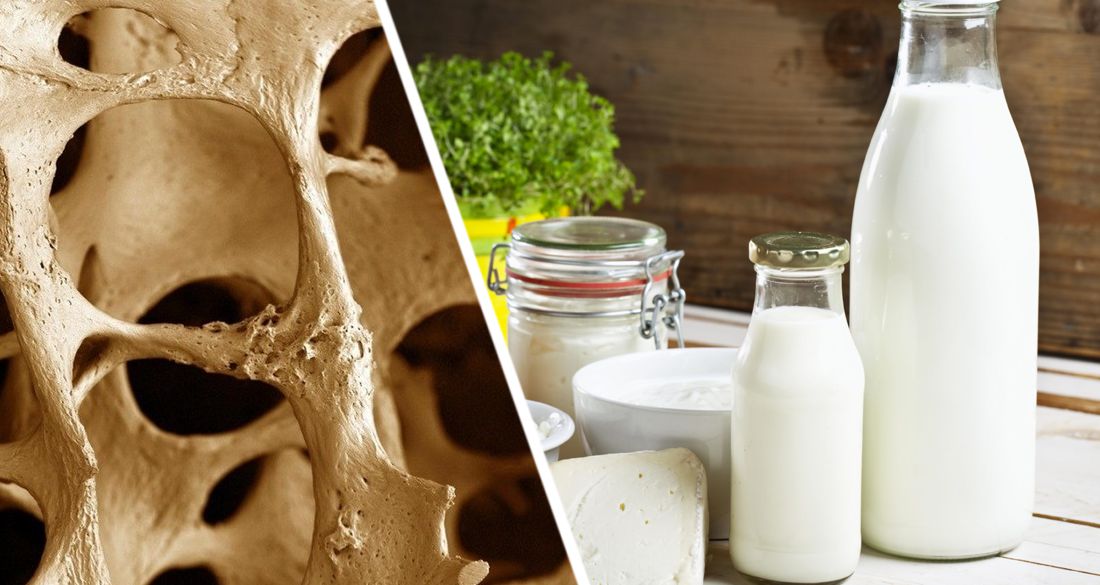Молочные продукты не защищают от хрупкости костей и переломов во время менопаузы