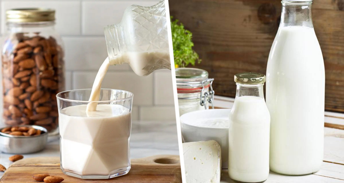 Миндальное молоко или овсяное: диетологи рассказали, что полезней