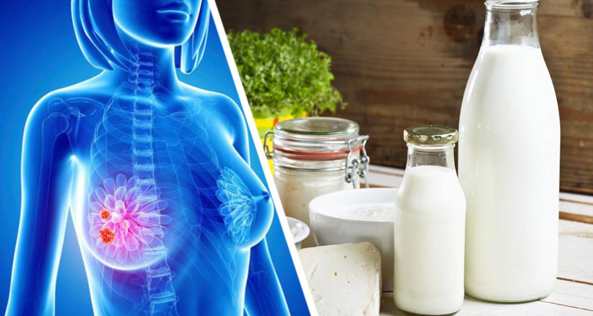 Ученые установили, что молочные продукты увеличивают риск развития рака