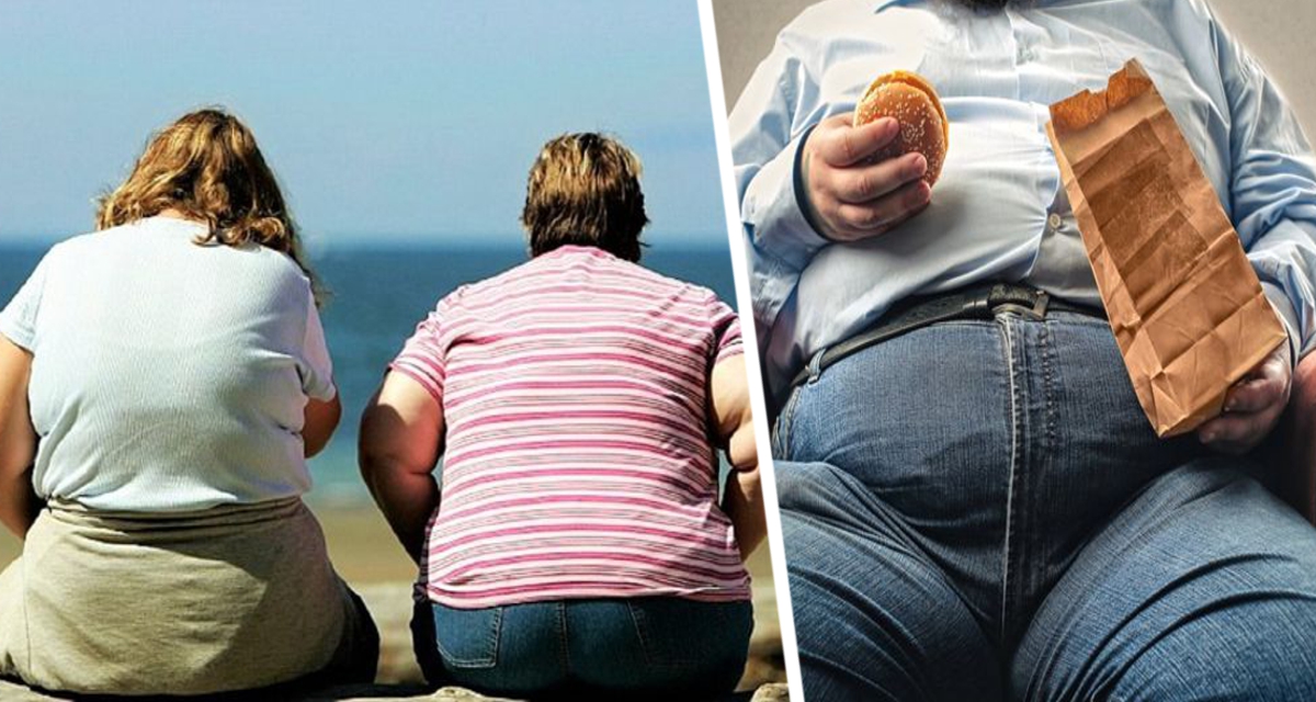 Установлено, что ожирение может привести к отеку части мозга и вызвать неконтролируемую тягу к еде