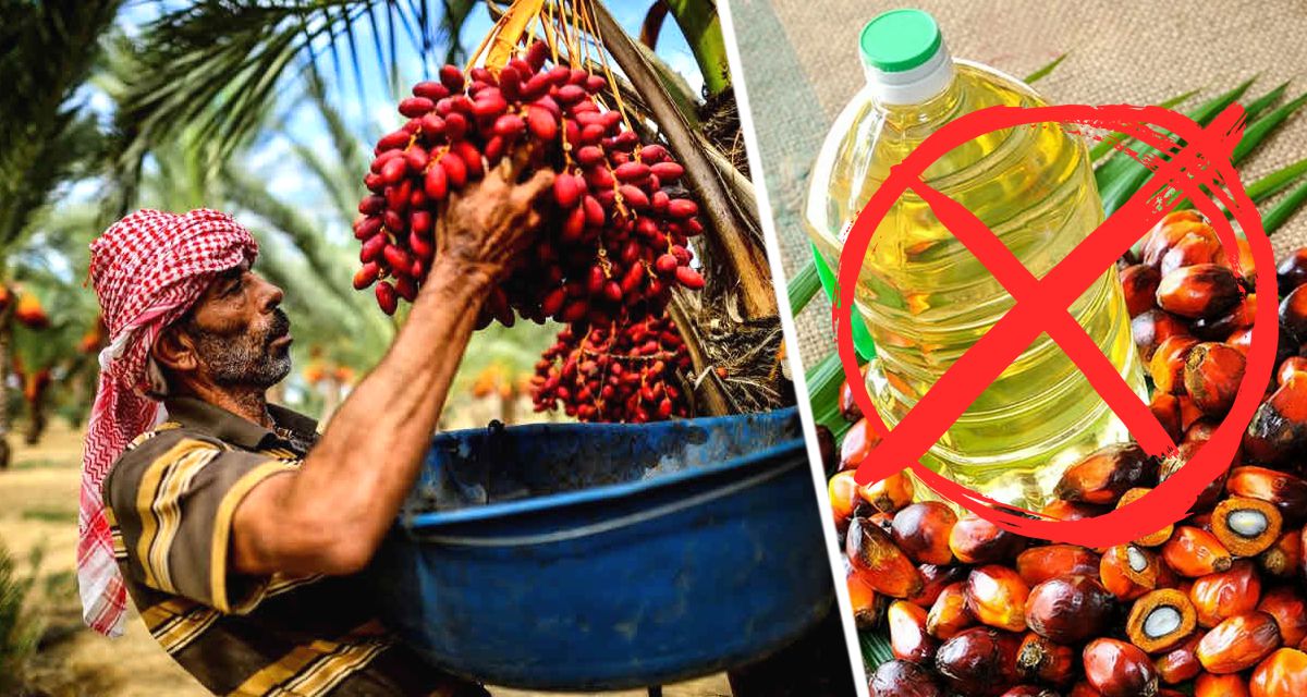 Ученые установили, как пальмовое масло вызывает рак