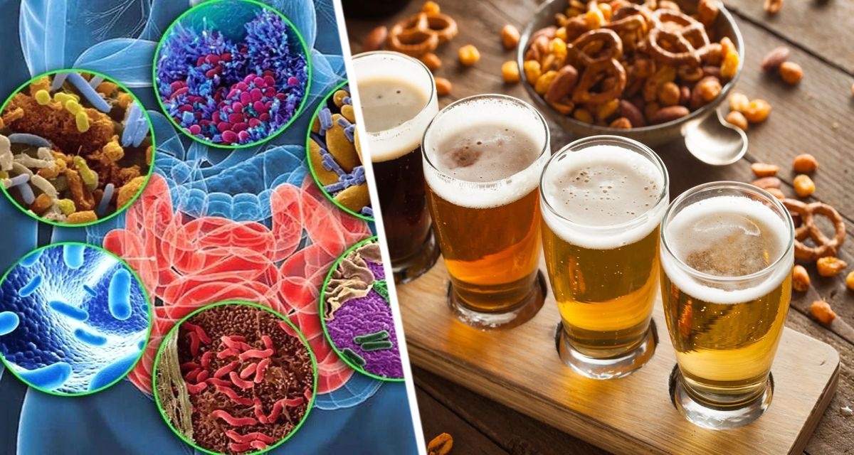 Ученые установили, что светлое пиво очень полезно для микрофлоры кишечника