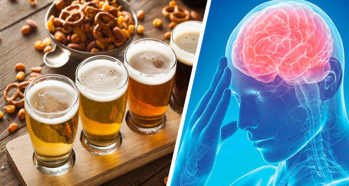 Ученые установили, что пиво может помочь предотвратить смертельные заболевания мозга