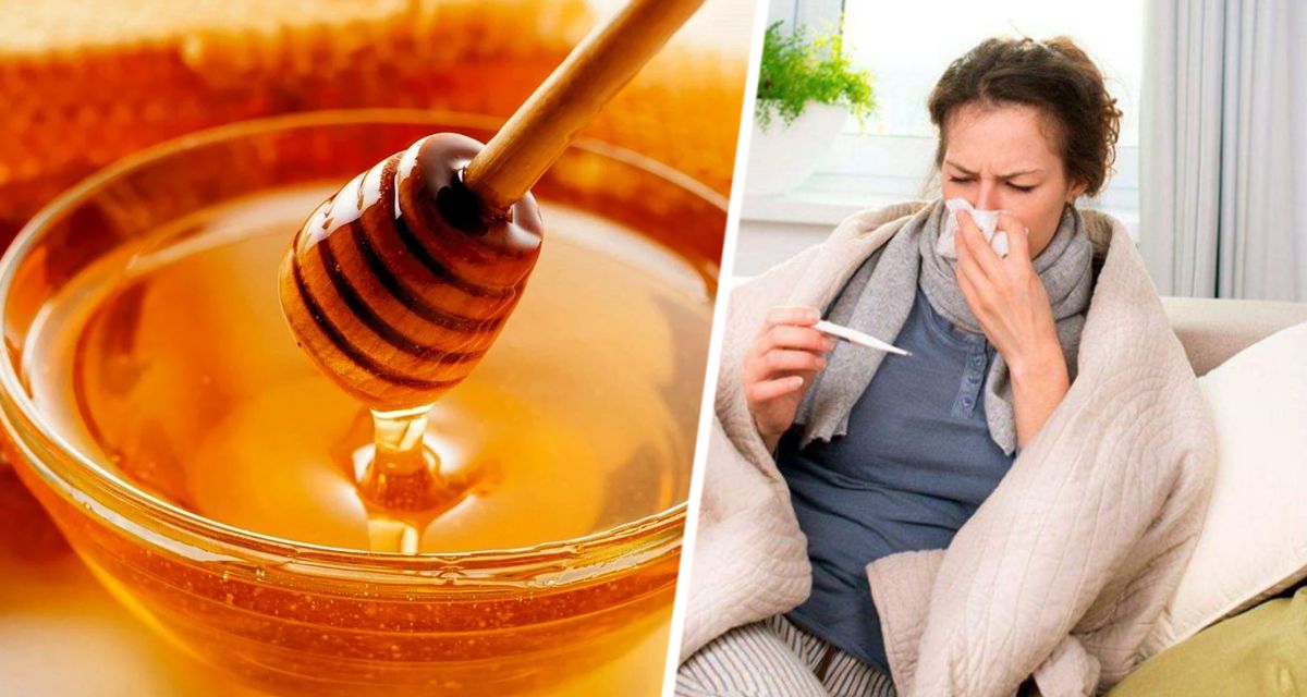 Врач сообщила, помогает ли мёд при кашле