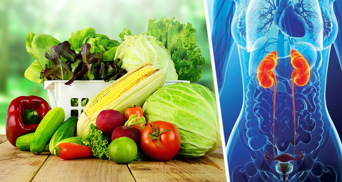 Растительная диета снижает риск инфекции мочевыводящих путей