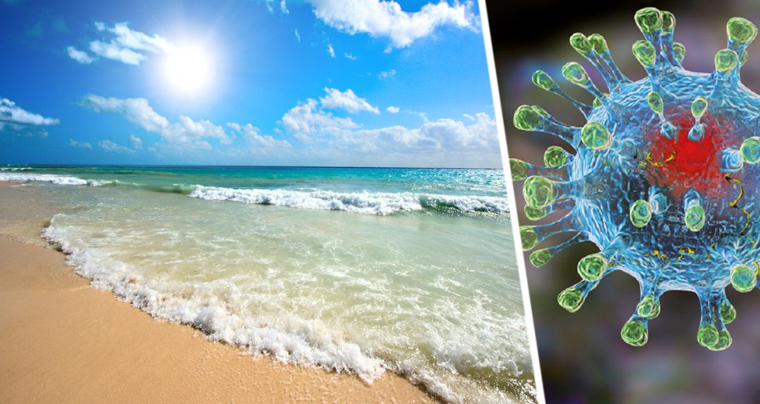 Солнечный свет снижает смертность от COVID-19 – говорит новое исследование