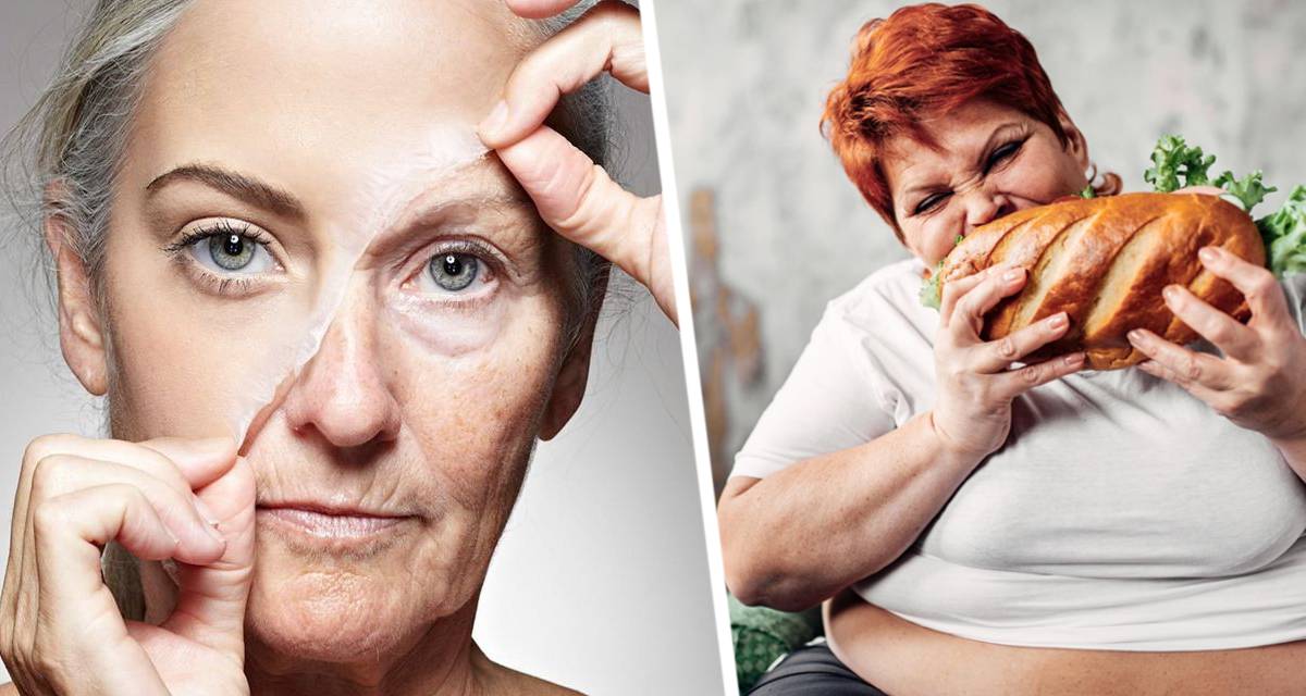 Ученые установили, что употребление меньшего количества пищи замедляет процесс старения