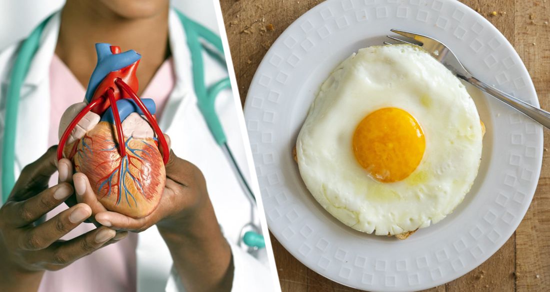 Ежедневное употребление яиц ведет к ранней смерти от болезней сердца и рака