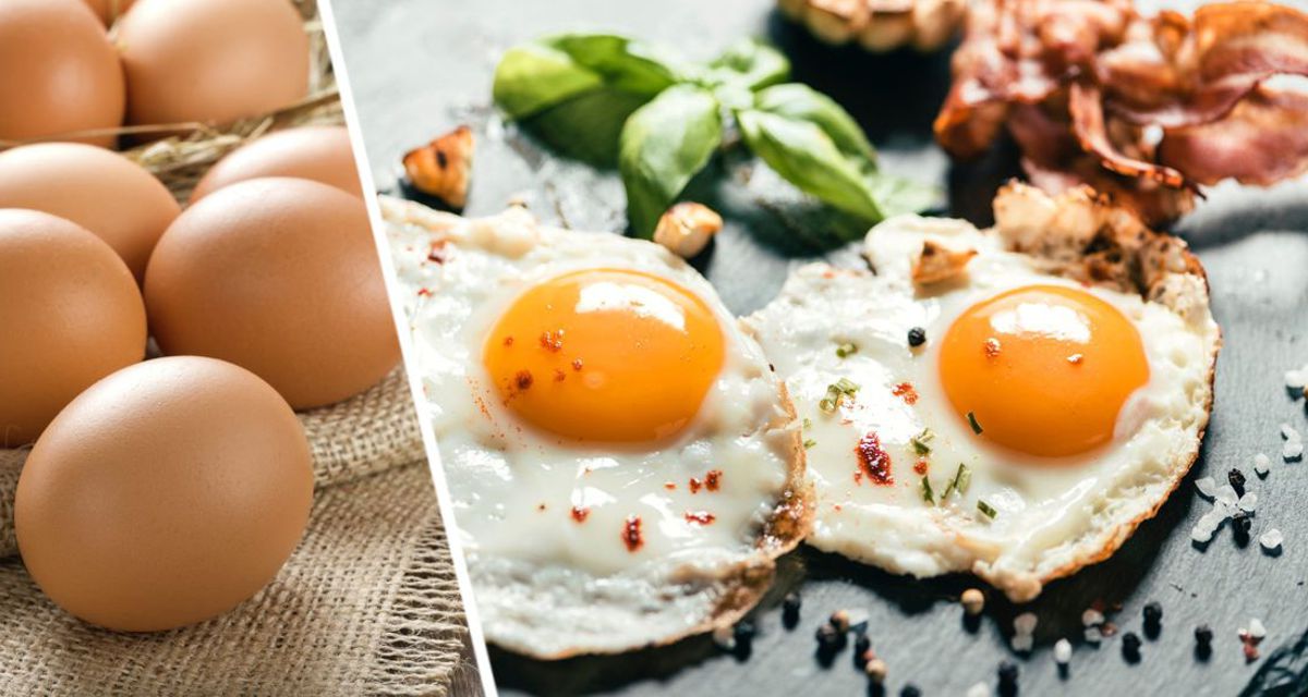 Ученые установили, сколько надо употреблять яиц, чтобы сердце было здоровым