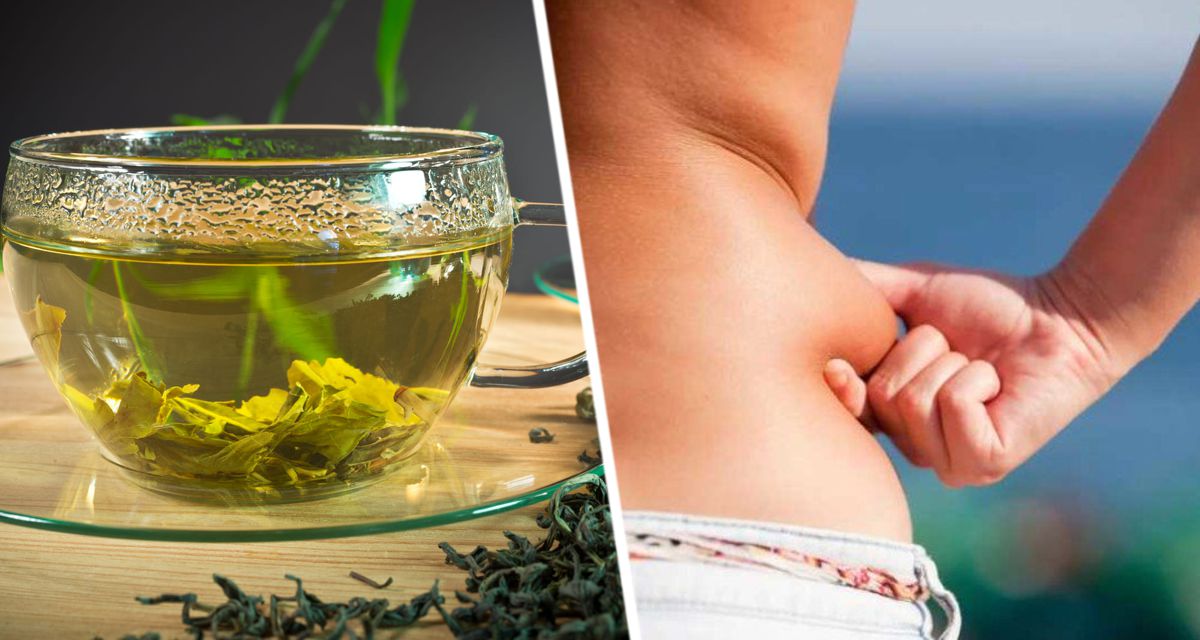Врач объяснил, как зеленый чай ускоряет метаболизм и сжигает лишний жир