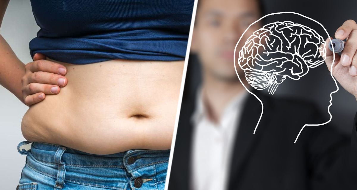 Ученые установили, что рост жира на животе говорит об уменьшении мозга