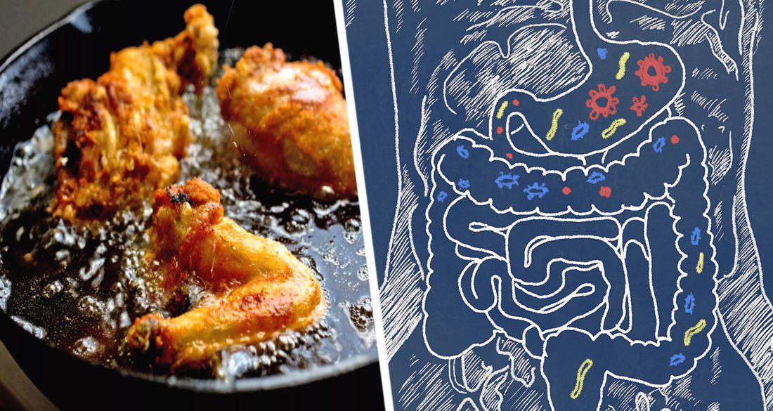 Повышенное потребление жиров негативно влияет на микробиом кишечника