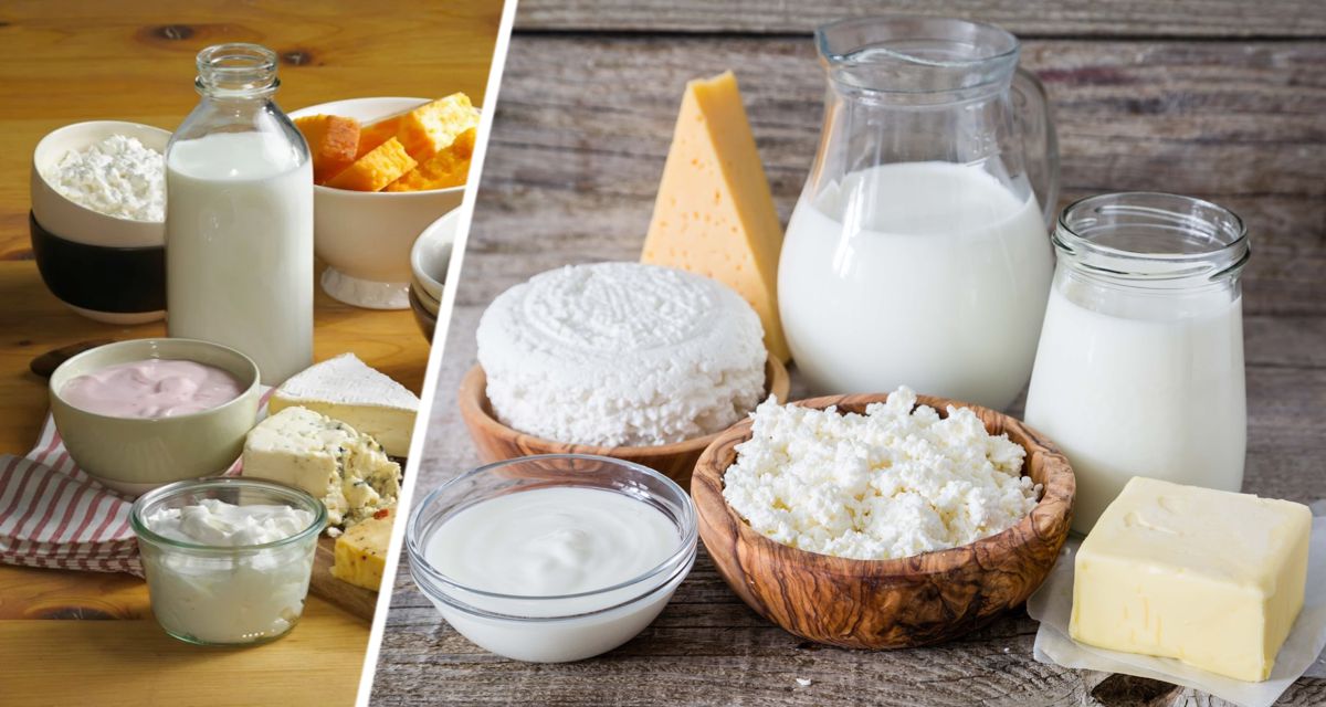 Исследование установило большую пользу употребления жирных молочных продуктов